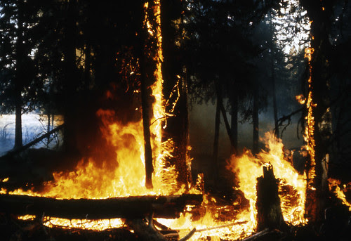 Spring Brings Greater Risk of Wildfire in Maryland